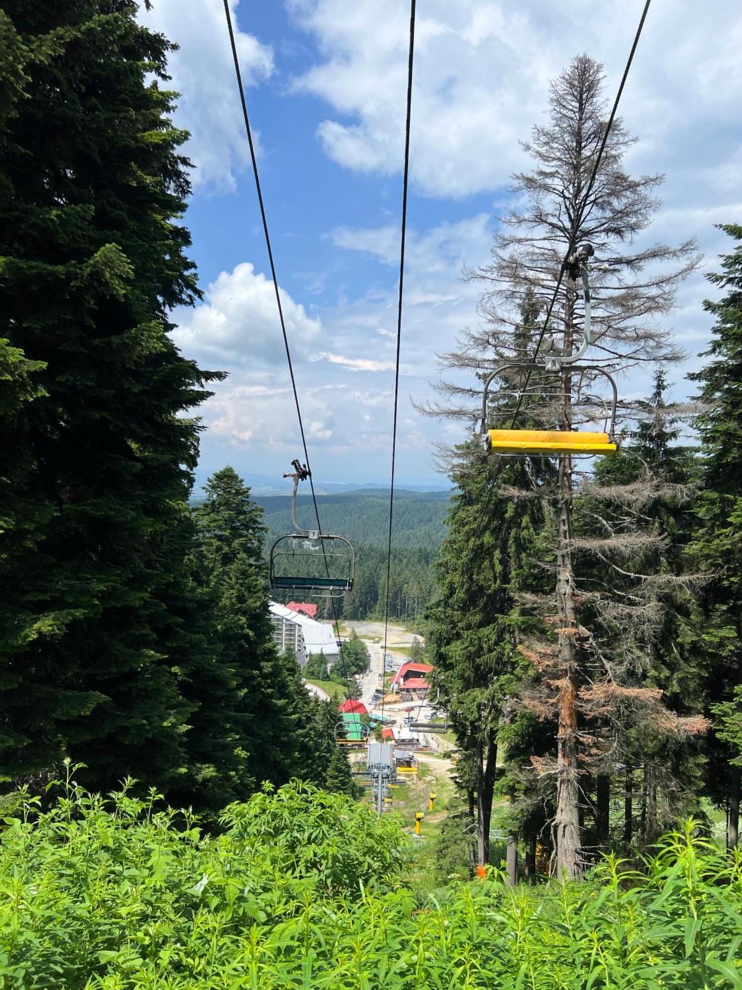 Arboro Borovets Gardens E68 Apartment Екстериор снимка
